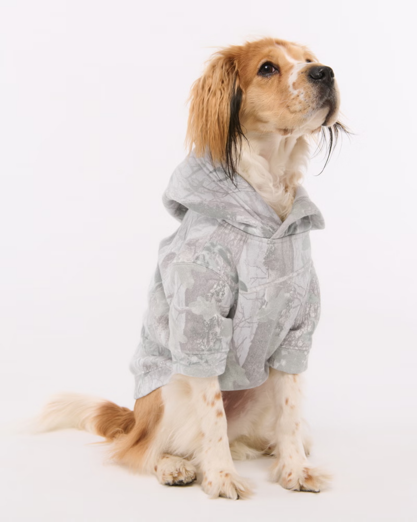 Essential Pup Hoodie