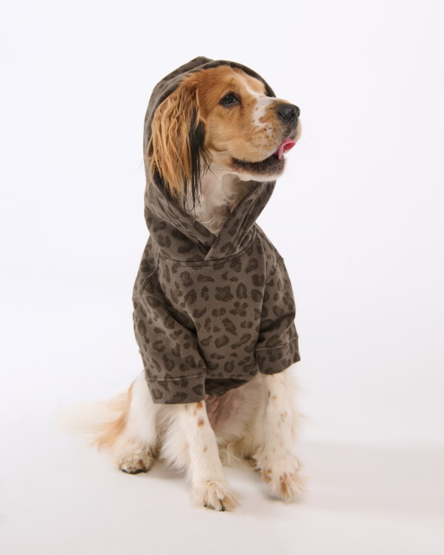 Essential Pup Hoodie