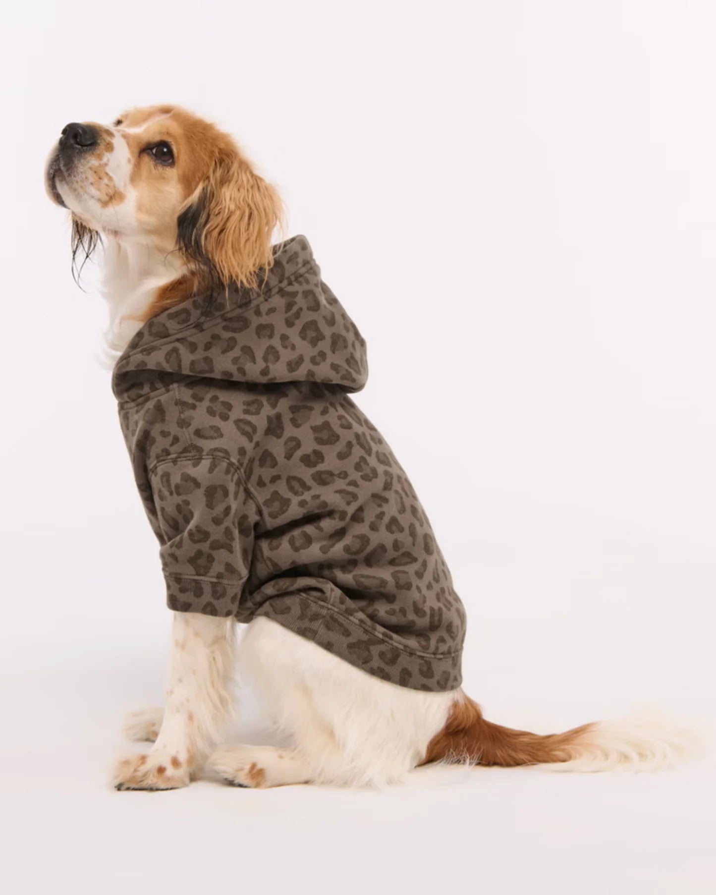 Essential Pup Hoodie
